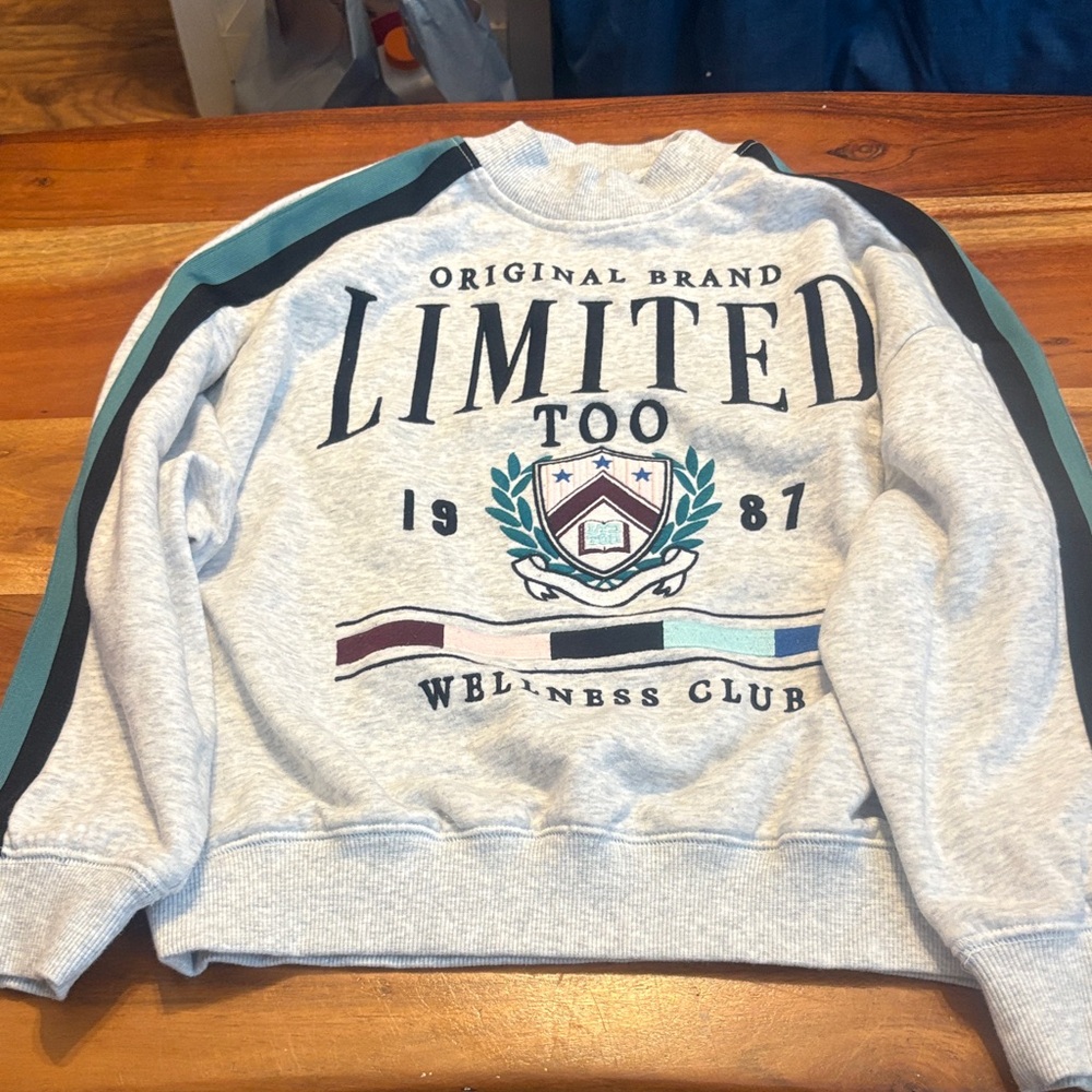 Limited Too Gray Crewneck Sweater with Black and Blue Stripes